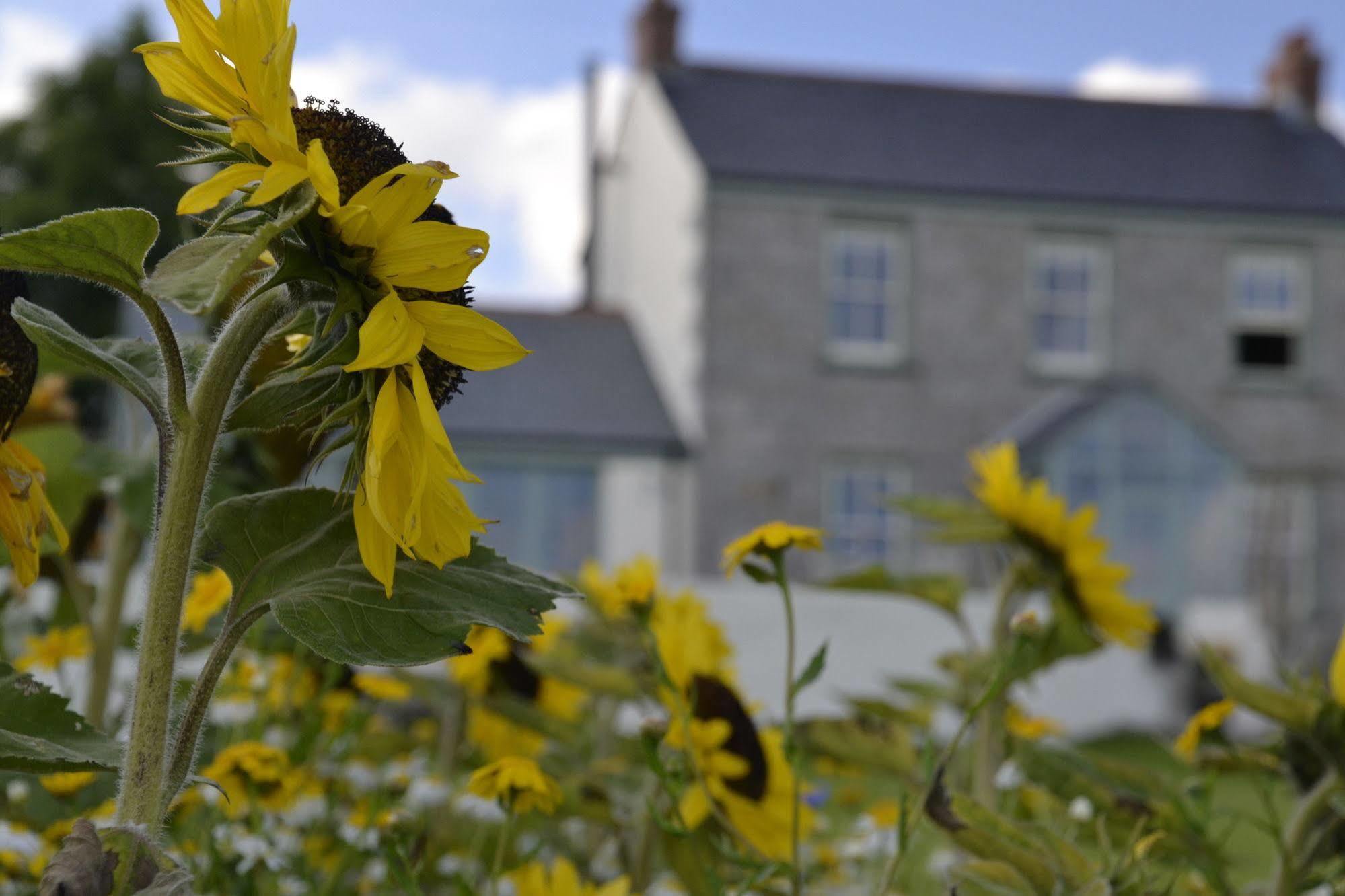 Bed and Breakfast Fig Tree House Penryn Exterior foto